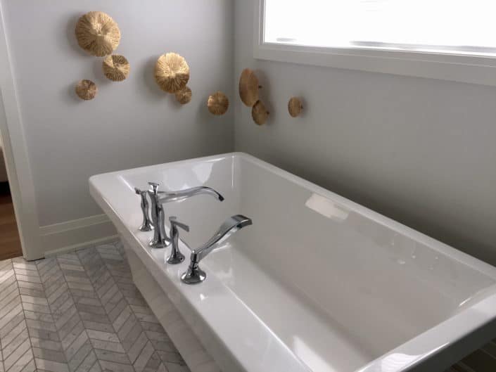 Bathtub & Fixtures